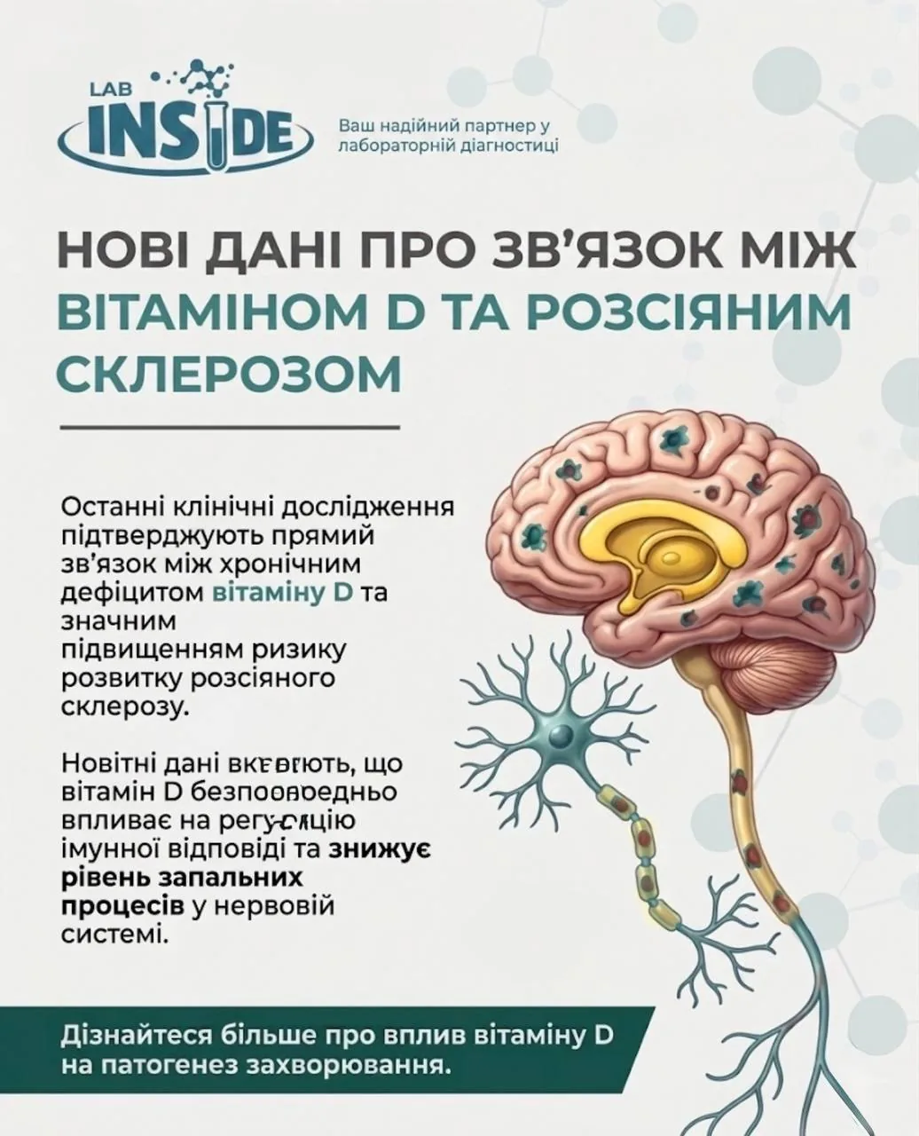 Механізми впливу вітаміну D на імунну систему
